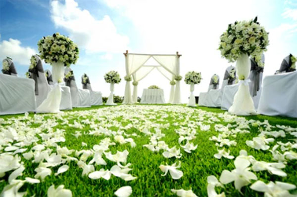 Свадебная дорожка с цветами